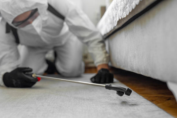 Professional Cockroach Control technician working in Hillside, IL